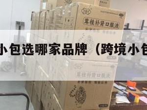 跨境电商小包选哪家品牌（跨境小包解决方案）