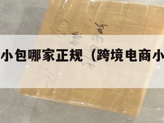 跨境电商小包哪家正规（跨境电商小平台有哪些）