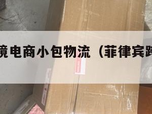 菲律宾跨境电商小包物流（菲律宾跨境电商平台）