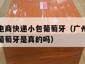 广州跨境电商快递小包葡萄牙（广州跨境电商快递小包葡萄牙是真的吗）
