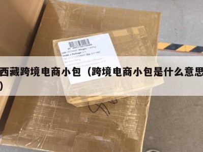 西藏跨境电商小包（跨境电商小包是什么意思）
