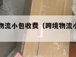 跨境电商物流小包收费（跨境物流小包有哪些）