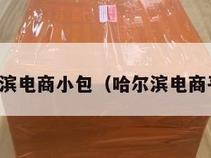 哈尔滨电商小包（哈尔滨电商平台）