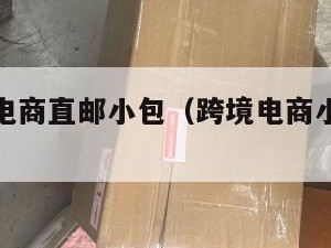 陕西跨境电商直邮小包（跨境电商小包寄递特点）