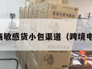 跨境电商敏感货小包渠道（跨境电商敏哥）