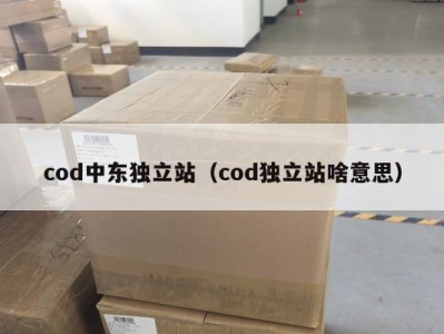 cod中东独立站（cod独立站啥意思）