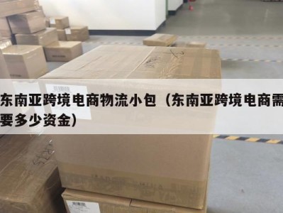 东南亚跨境电商物流小包（东南亚跨境电商需要多少资金）
