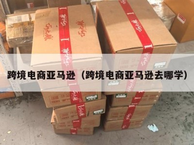 跨境电商亚马逊（跨境电商亚马逊去哪学）