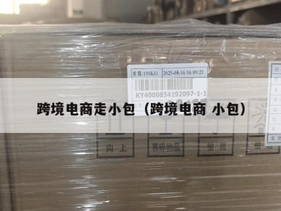 跨境电商走小包（跨境电商 小包）