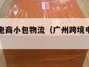 广州跨境电商小包物流（广州跨境电商小包物流公司）