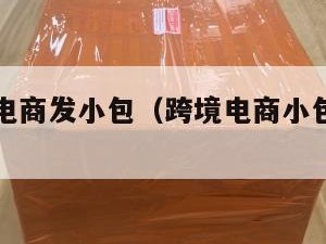 个人跨境电商发小包（跨境电商小包寄递特点）