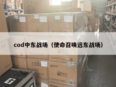 cod中东战场（使命召唤远东战场）