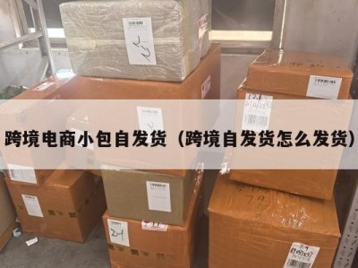 跨境电商小包自发货（跨境自发货怎么发货）