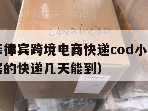 郑州到菲律宾跨境电商快递cod小包（国内到菲律宾的快递几天能到）