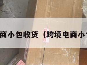 跨境电商小包收货（跨境电商小包货代）