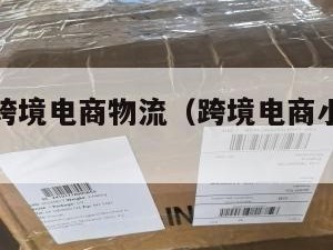 小包单件跨境电商物流（跨境电商小包物流排行）