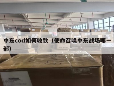 中东cod如何收款（使命召唤中东战场哪一部）