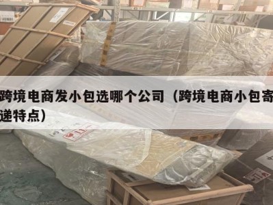 跨境电商发小包选哪个公司（跨境电商小包寄递特点）