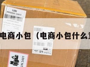 淘宝电商小包（电商小包什么意思）