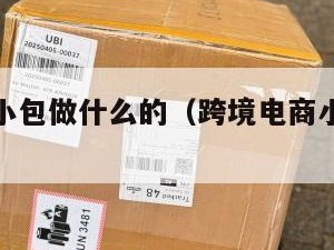 跨境电商小包做什么的（跨境电商小包寄递特点）