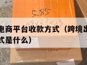 跨境出口电商平台收款方式（跨境出口电商平台收款方式是什么）