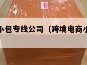 跨境电商小包专线公司（跨境电商小包发货货代）