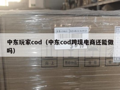 中东玩家cod（中东cod跨境电商还能做吗）