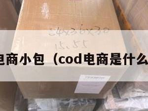 cod电商小包（cod电商是什么意思）