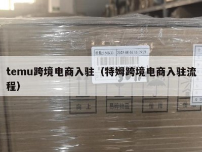 temu跨境电商入驻（特姆跨境电商入驻流程）
