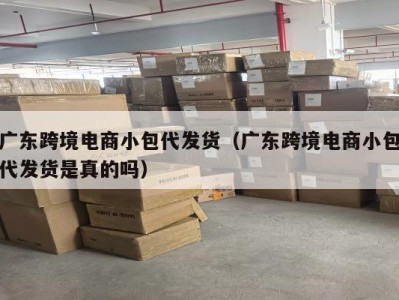 广东跨境电商小包代发货（广东跨境电商小包代发货是真的吗）