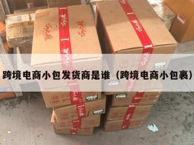 跨境电商小包发货商是谁（跨境电商小包裹）