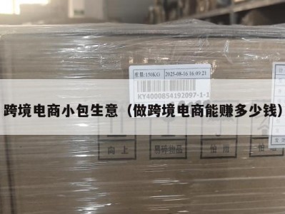 跨境电商小包生意（做跨境电商能赚多少钱）