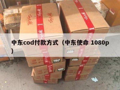 中东cod付款方式（中东使命 1080p）