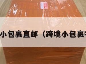 跨境电商小包裹直邮（跨境小包裹物流路线）