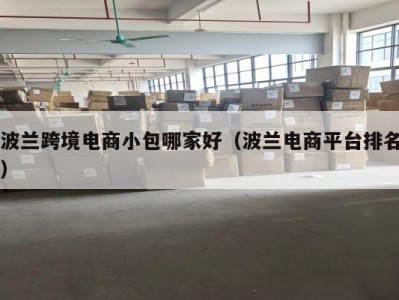 波兰跨境电商小包哪家好（波兰电商平台排名）