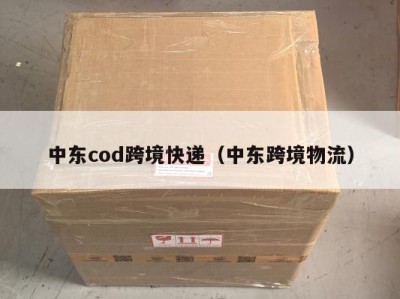 中东cod跨境快递（中东跨境物流）