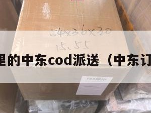 哪里的中东cod派送（中东订单）