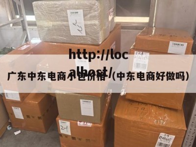 广东中东电商小包价格（中东电商好做吗）