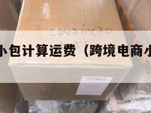 跨境电商小包计算运费（跨境电商小包计算运费吗）