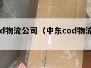 中东cod物流公司（中东cod物流公司怎么样）