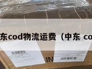 中东cod物流运费（中东 cod）