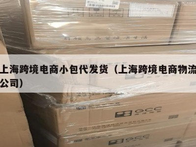 上海跨境电商小包代发货（上海跨境电商物流公司）