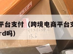 跨境电商平台支付（跨境电商平台支付可以用debit card吗）