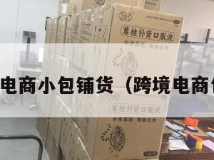 跨境电商小包铺货（跨境电商包包）