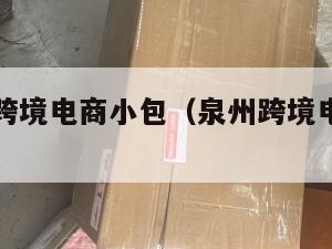 泉州国际跨境电商小包(泉州跨境电商公司有哪些)