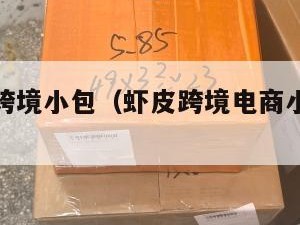 虾皮电商跨境小包（虾皮跨境电商小白能挣钱么）