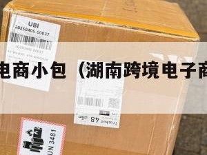 湖南跨境电商小包（湖南跨境电子商务服务中心）