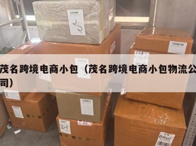 茂名跨境电商小包（茂名跨境电商小包物流公司）