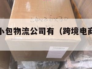 跨境电商小包物流公司有（跨境电商小件物流）