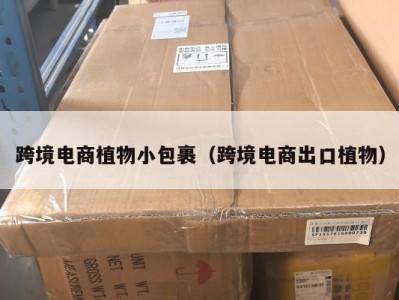 跨境电商植物小包裹（跨境电商出口植物）